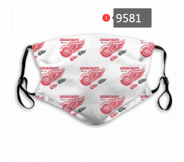 New 2020 NHL Detroit Red Wings #3 Dust mask with filter-0